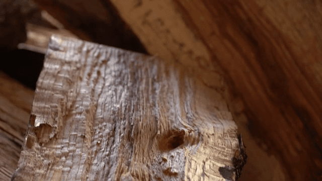 Textured wooden surface