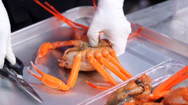 Hand separating red snow crab