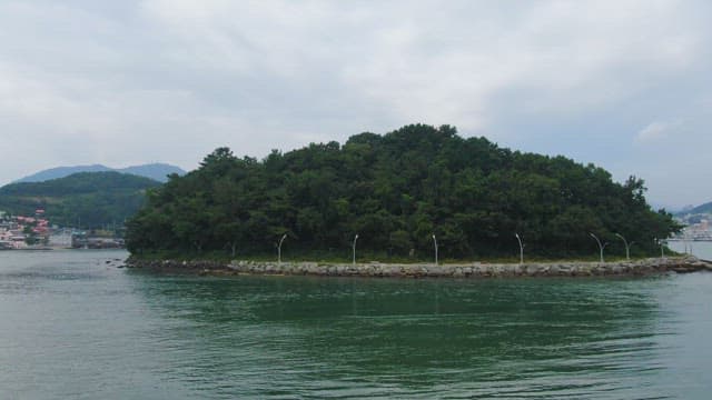 Small island with lush greenery