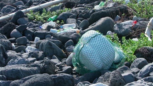 Rocky coastal area littered with various types of waste