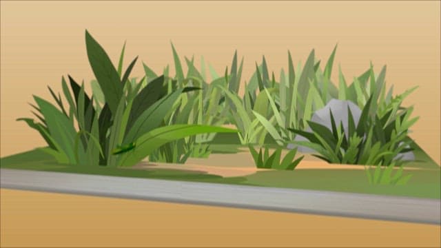 Animated Wildlife in a Lush Forest Setting