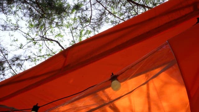 Orange tent roof with string lights under forest canopy during daytime
