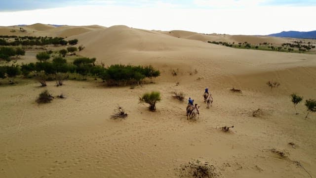 Riders on camels crossing a desert