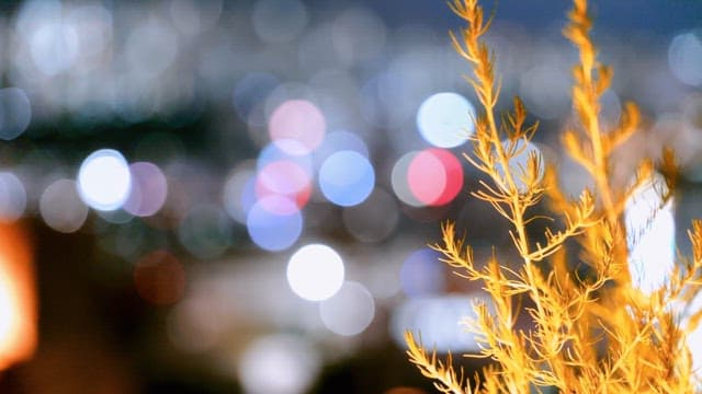 Night cityscape with blurred lights