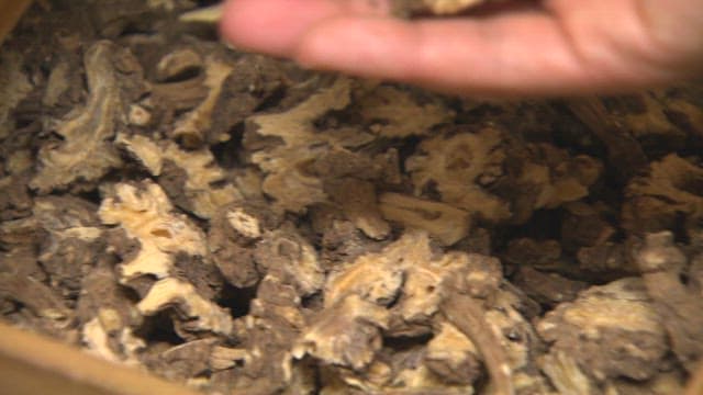 Dried Herbs Used as Ingredients in Herbal Medicine