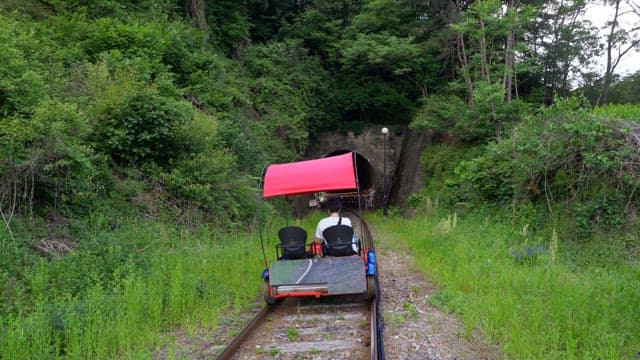 Person riding a rail bike in the forest and entering a tunnel