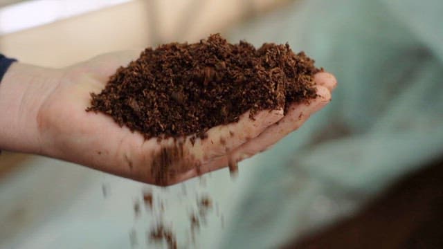Checking the soil quality by touching it with hands