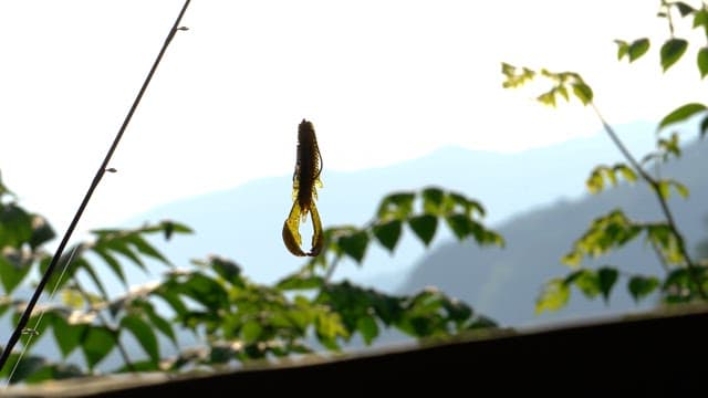 A fishing lure hanging from a rod amidst foliage in the mountains