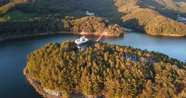 Scenic lake surrounded by lush forests