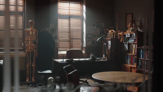 Cozy Treatment Room with Sunlight Through Blinds