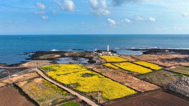Coastal landscape with a lighthouse