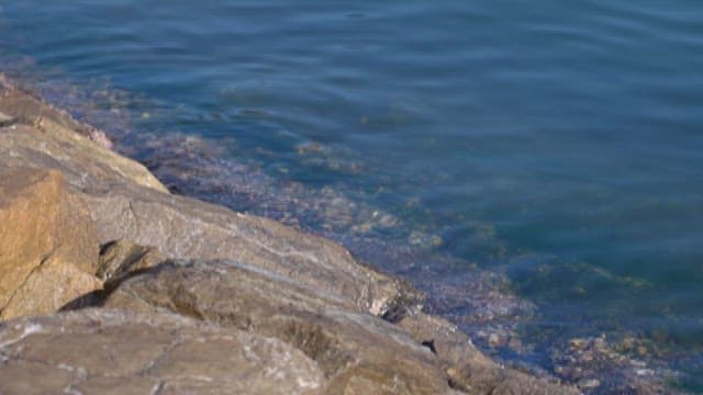 Serene Seaside with Transparent Waters