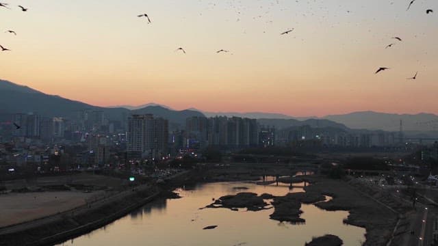Birds flying over a city during sunset