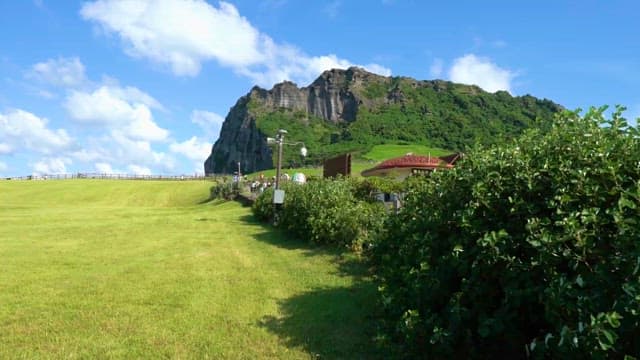 Visitors at a Scenic Grassland with Mountain Views