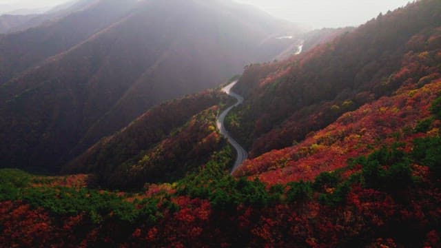 Serpentine Road Through Autumn Mountains