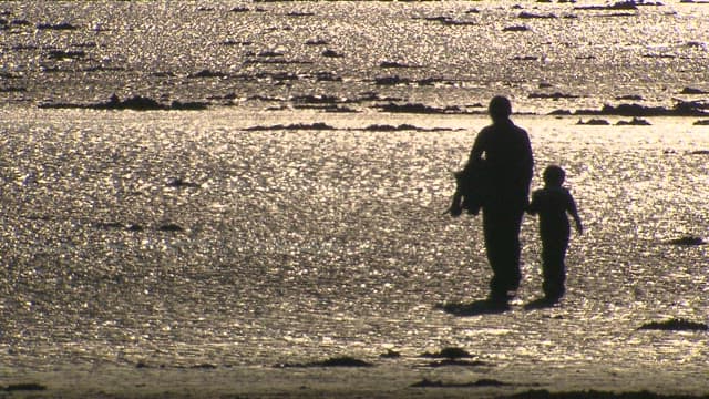 Mother and Child Walking on a Mudflat Shining in the Sunset
