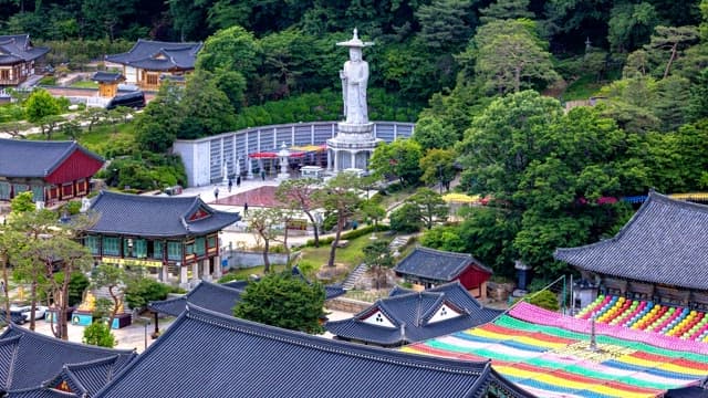View of the temple complex with dense forest and giant statues