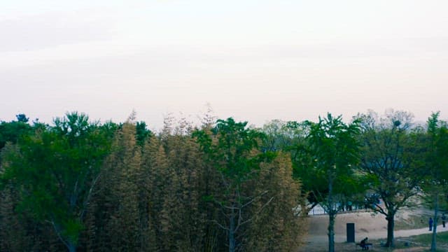 Scenic Historical Park