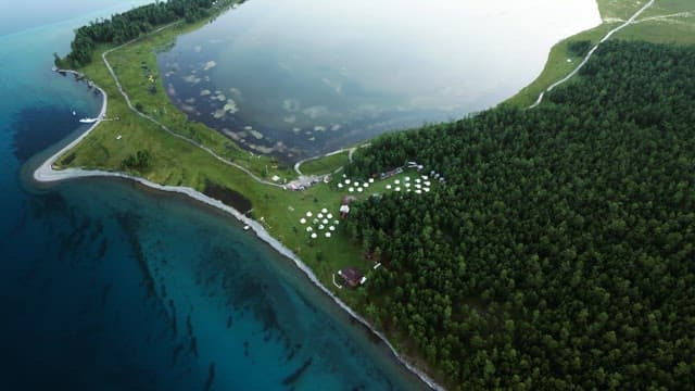 Serene lakeside with lush greenery