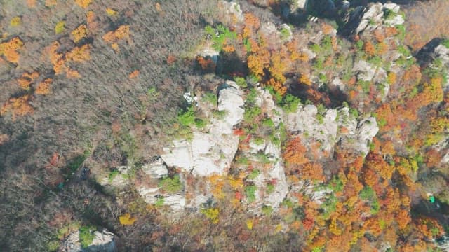 Colorful autumn forest with rocky cliffs