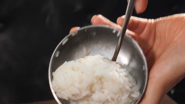 Savory stew served with steamed rice