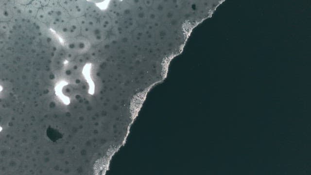 Scenery of a River Covered in Thin Ice