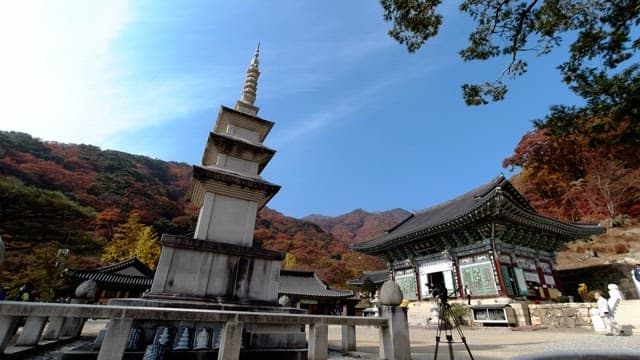 Temple and stone pagoda under a clear and sunny sky