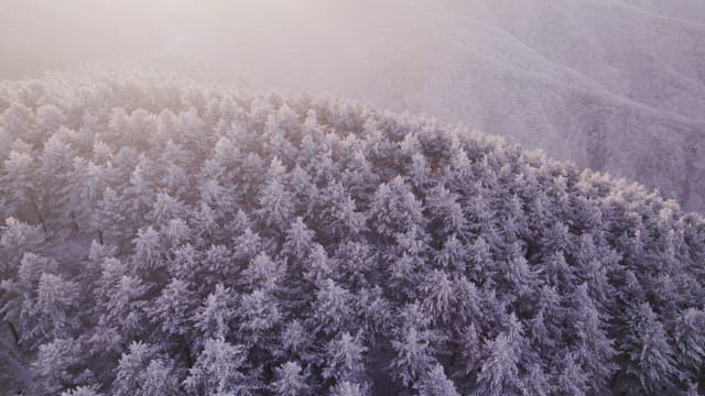 Mountains Covered White with Snow at Dawn