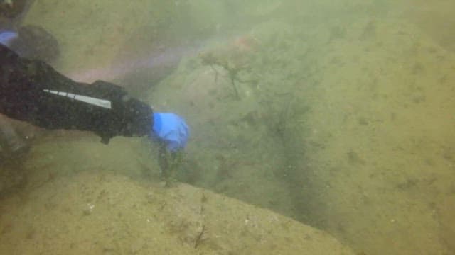 Scuba diver cleans underwater environment in the ocean