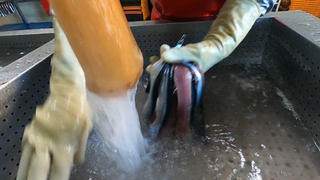Cleaning fish in a processing facility