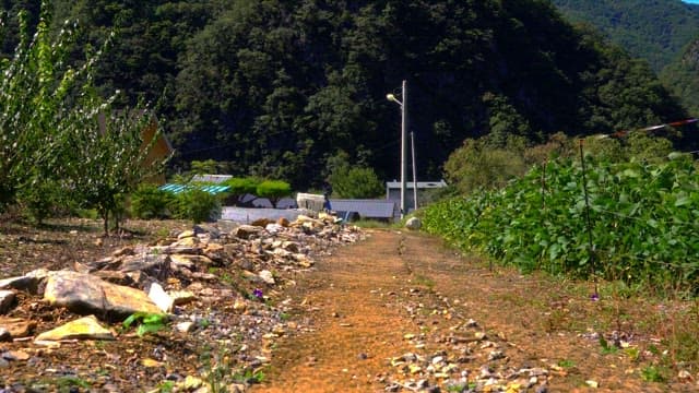 Peaceful village road with lush mountains and farms