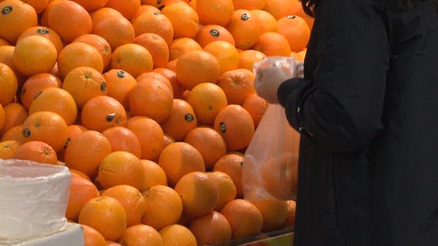 Choosing Oranges at a Greengrocer's Market