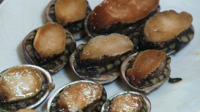Close-up of a fresh abalones on a white plate