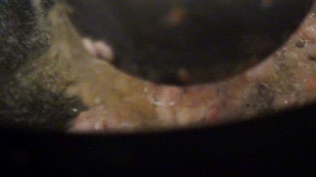 Frying chicken pieces in hot oil