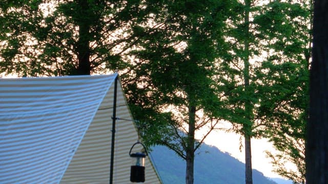 Tent setup in the early morning light with trees