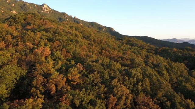 Rocky mountain with a view of a lush, green forest