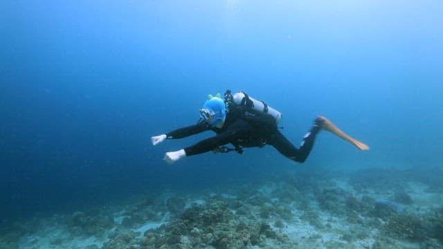 Scuba diver exploring the blue sea