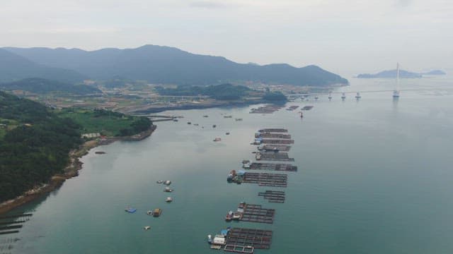 Coastal aquaculture farms with distant mountains