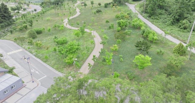 View of a green park with pathways