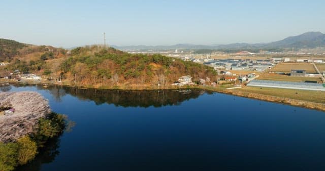 Aerial view of blooming cherry blossoms around a serene lake and camping area in a park