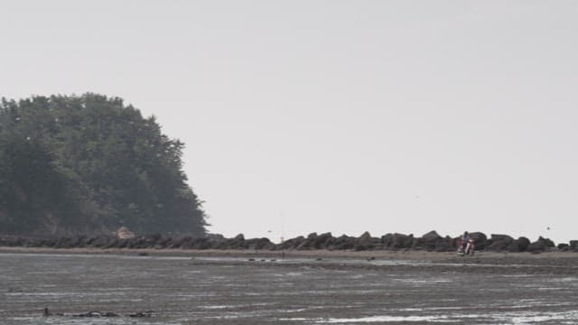 Cyclist by the Seashore with Rocky Barrier