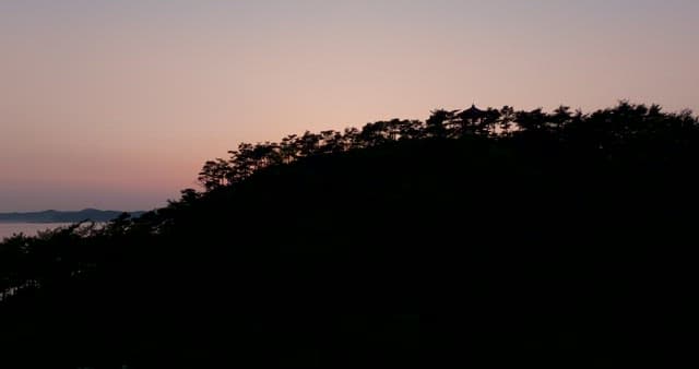 Serene Twilight on the Ocean through Forest Silhouettes