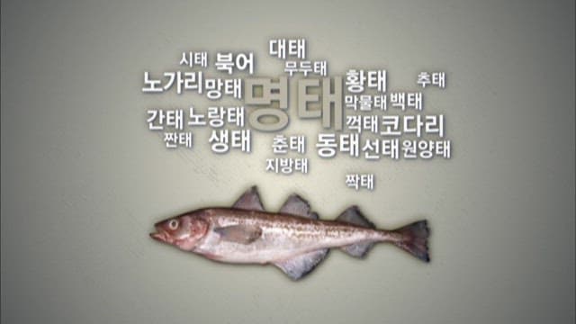 Various names of pollack