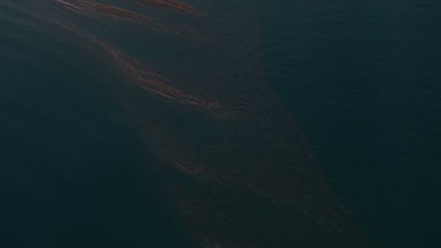 Tide Rises in the Intertidal Zone while High Tide Approaches
