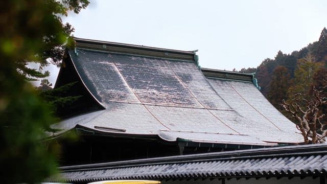 Traditional roof with trees