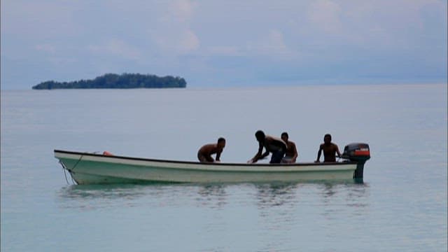 People throwing away sharks with their fins cut off