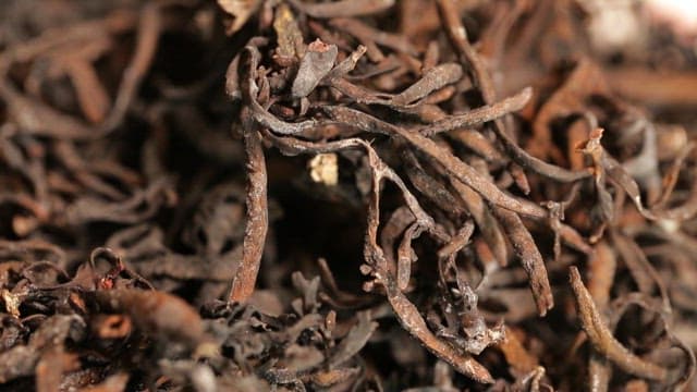 Dried seaweed placed on a plate on the table