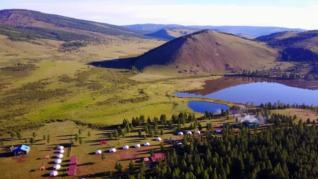Yurt in green area with trees