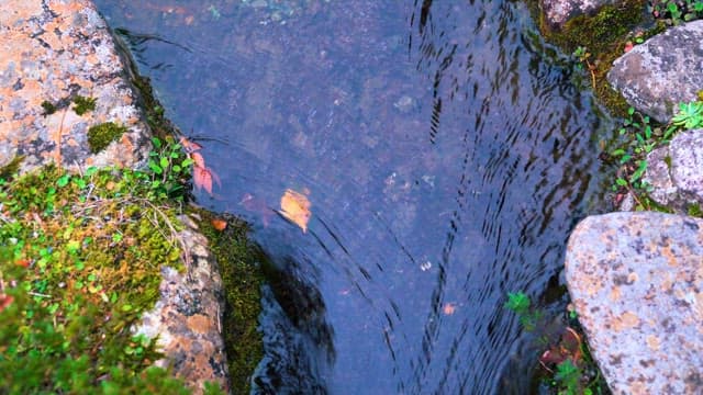 Serene Water Stream Among Rocks and Moss