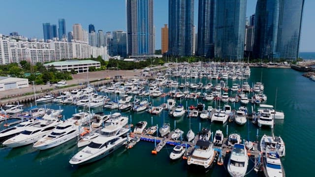Peaceful yacht marina on the coast with a view of high-rise buildings